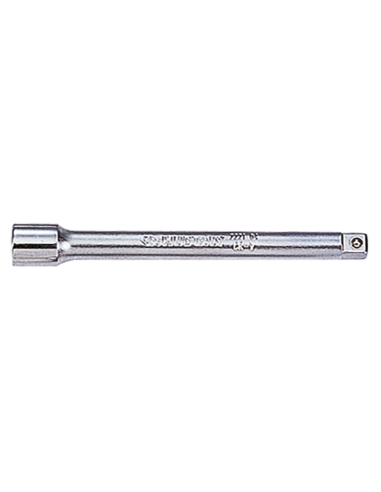 RALLONGE STANDARD 1/4"