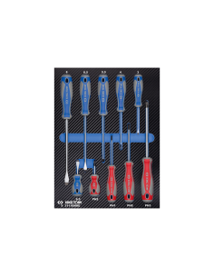 PLATEAU EVAWAVE DE TOURNEVIS PH - 10 PCS
