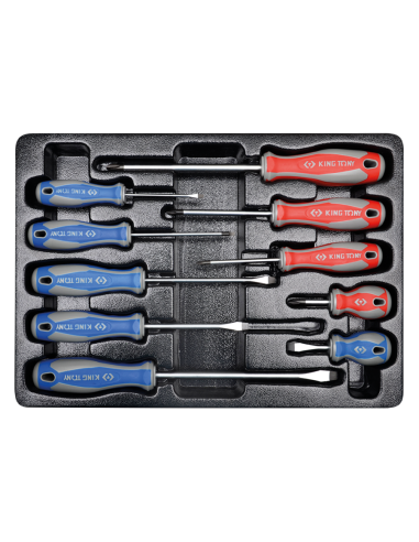 THERMOFORME DE TOURNEVIS PH - 10 PCS